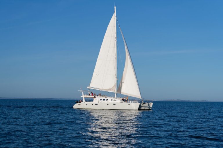 Catamaran la trinité sur mer