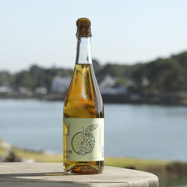 Jus-de-pomme-pétillant-artisanal-75cl