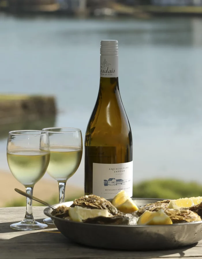 Vin-blanc-Muscadet-jaouen-_-dégustation-huîtres-bretonnes-et-muscadet