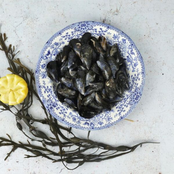moules